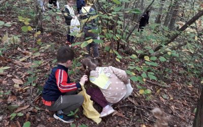 Prvošolci v gozdu