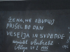 vrsic10