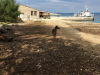 slika015